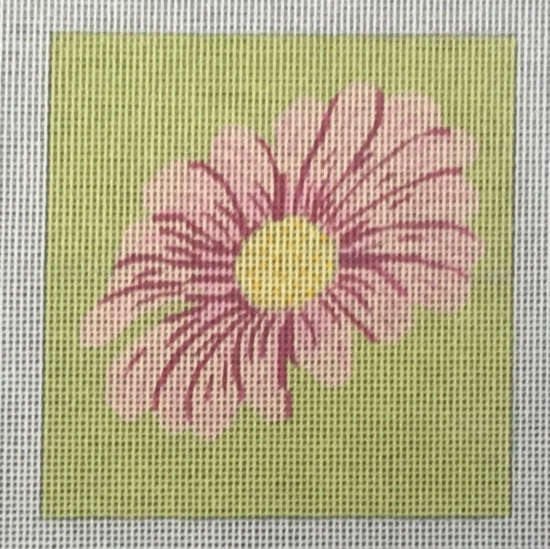 CTR105 Daisy Coaster