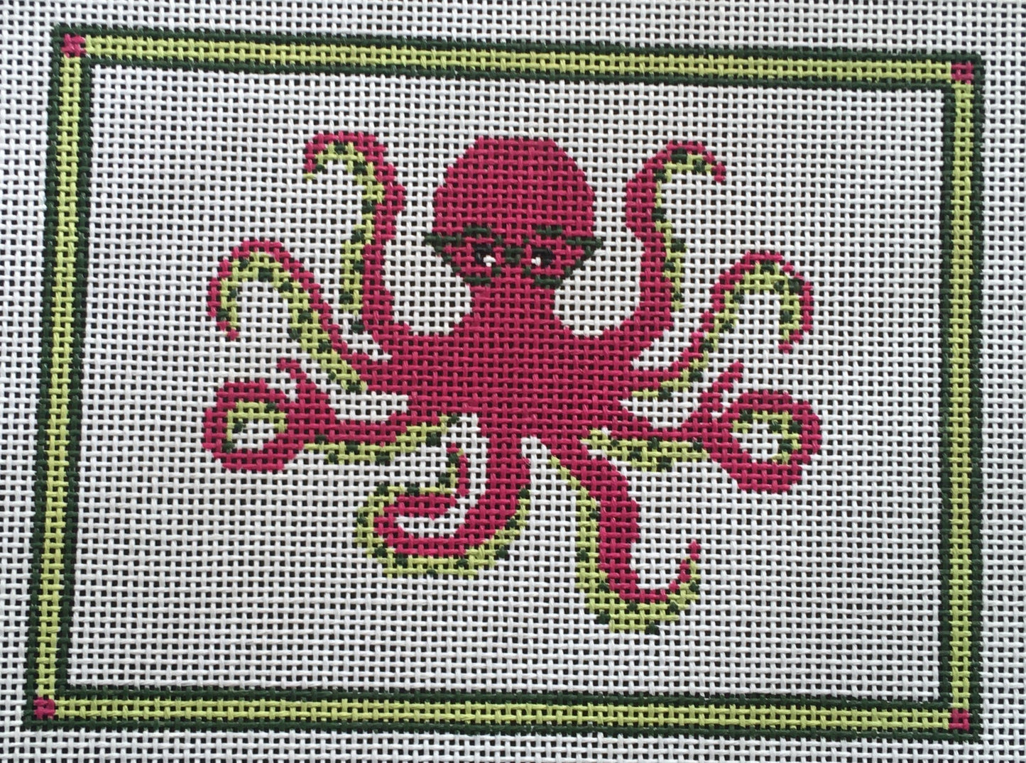 PIL262 Octopus