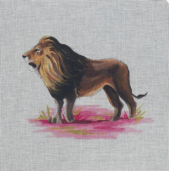 AN491 Lion