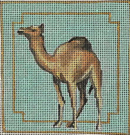 IN459 Camel Coaster