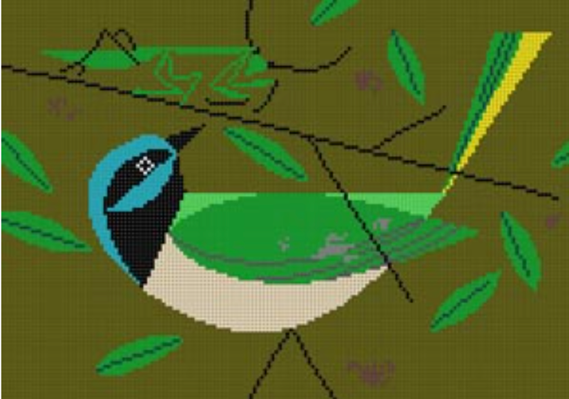 HC-G237 Green Jay