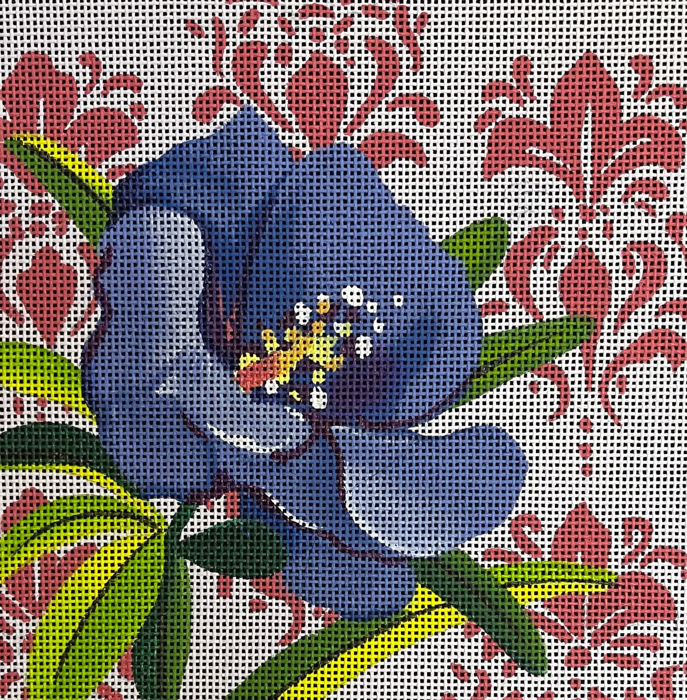 IN260 Blue Hibiscus