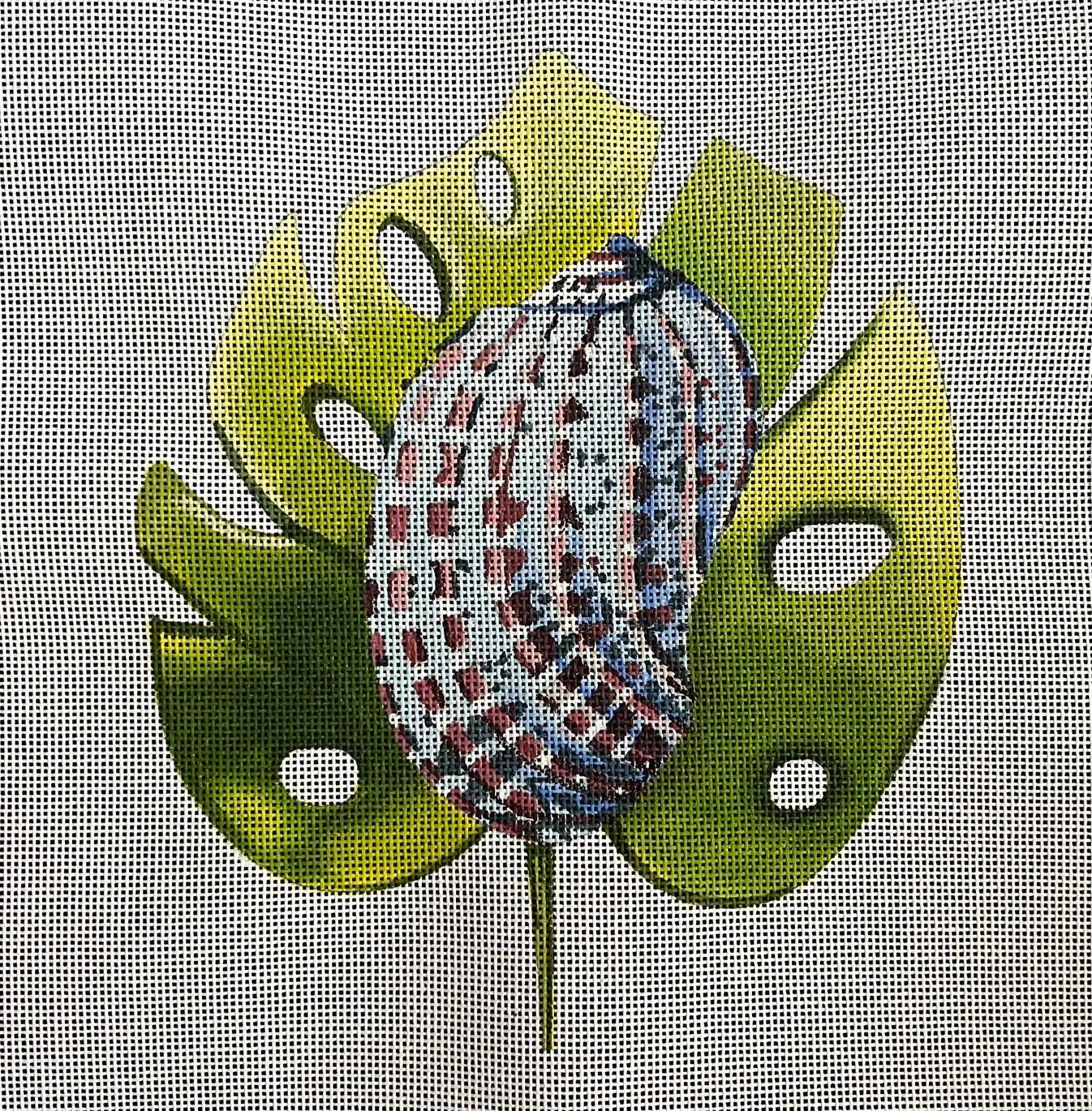 MC490 Seashell on Leaf
