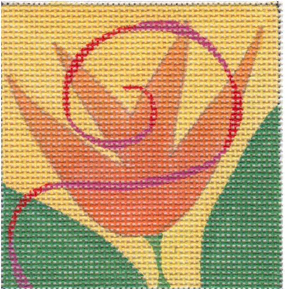 ZE630 Orange Tulip Square