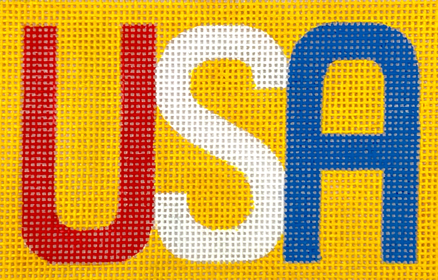 INSPPP-25 USA in Bright Block Letters Passport Cover