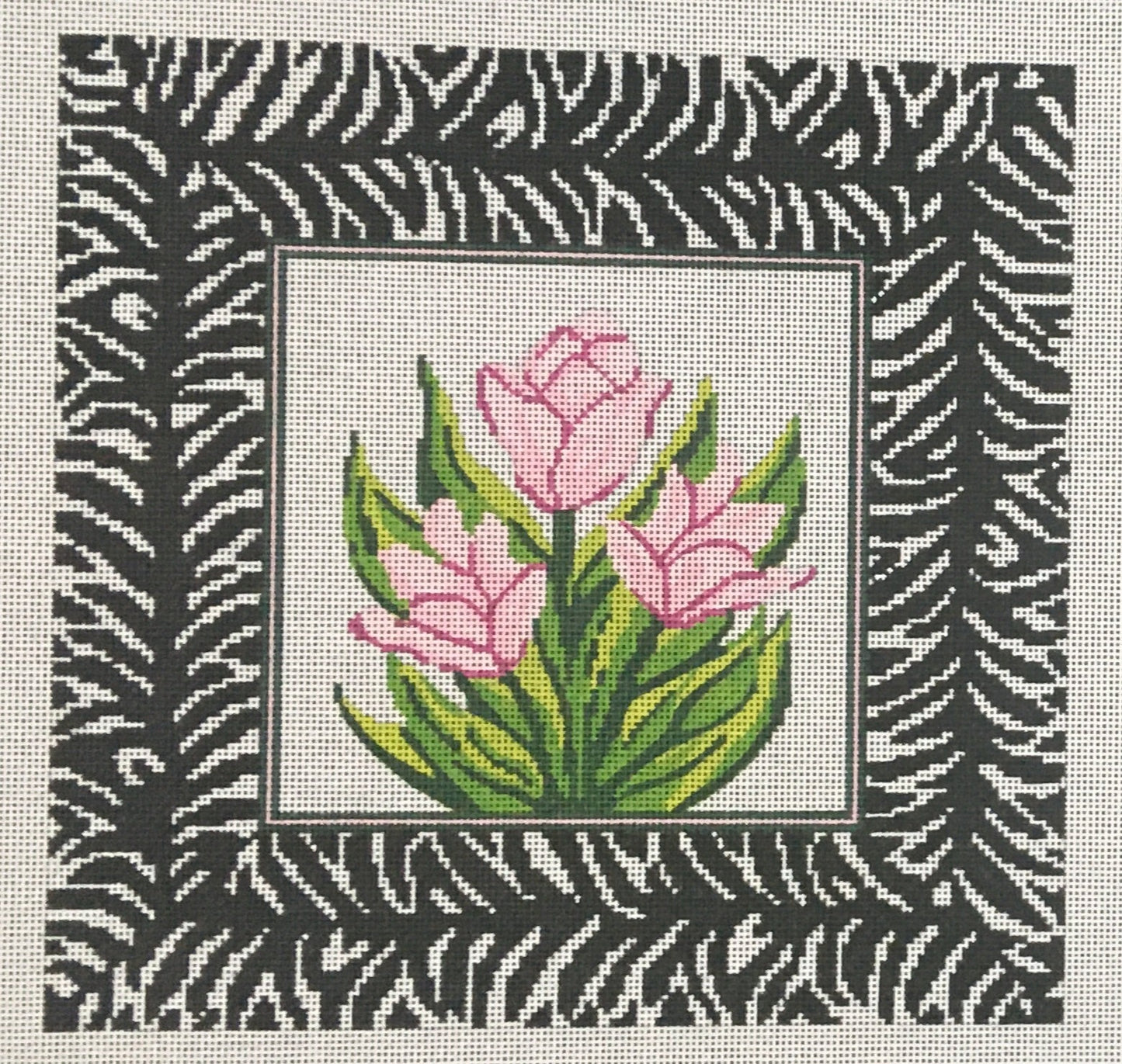 PIL241 Zebra Tulips