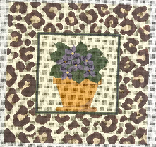 PIL236 African Violet