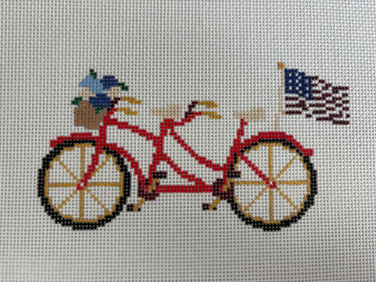 TSS-112 Summer Tandem Bike