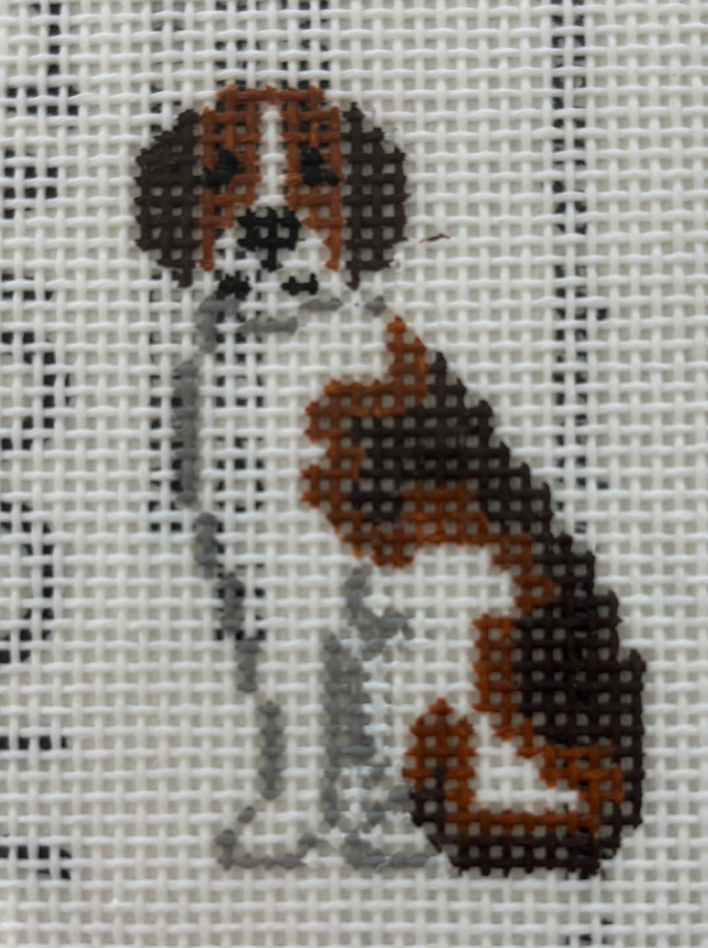 PP242BH Mini Hound