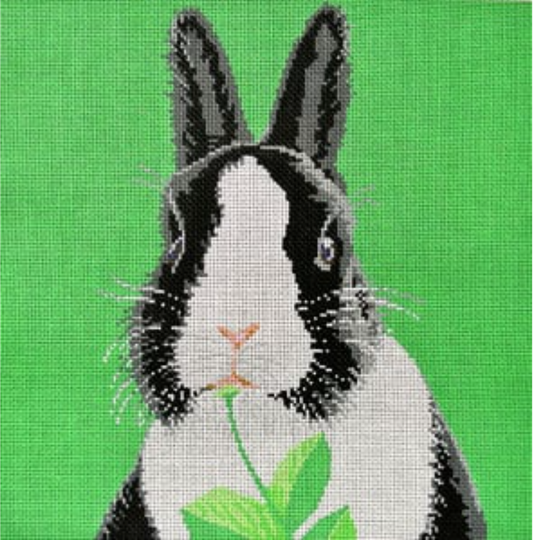 C-450bw Black and White Bunny