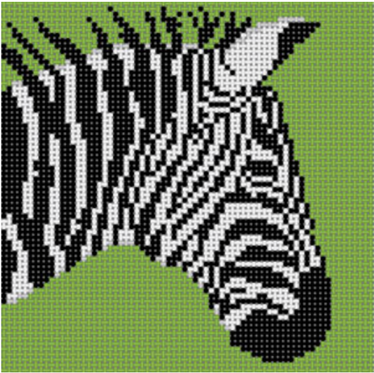 CO-46B Zebra on Green