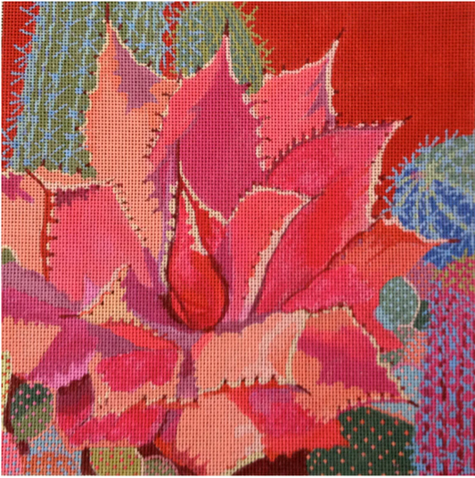 SW102 Desert Agave