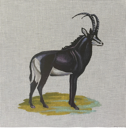 AN499 Black Antelope