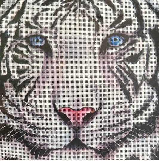 AN537 Siberian Tiger Face