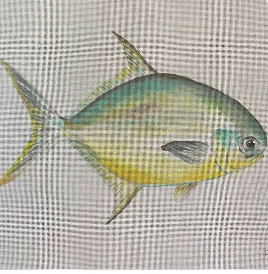 AN540 Pompano Facing Right