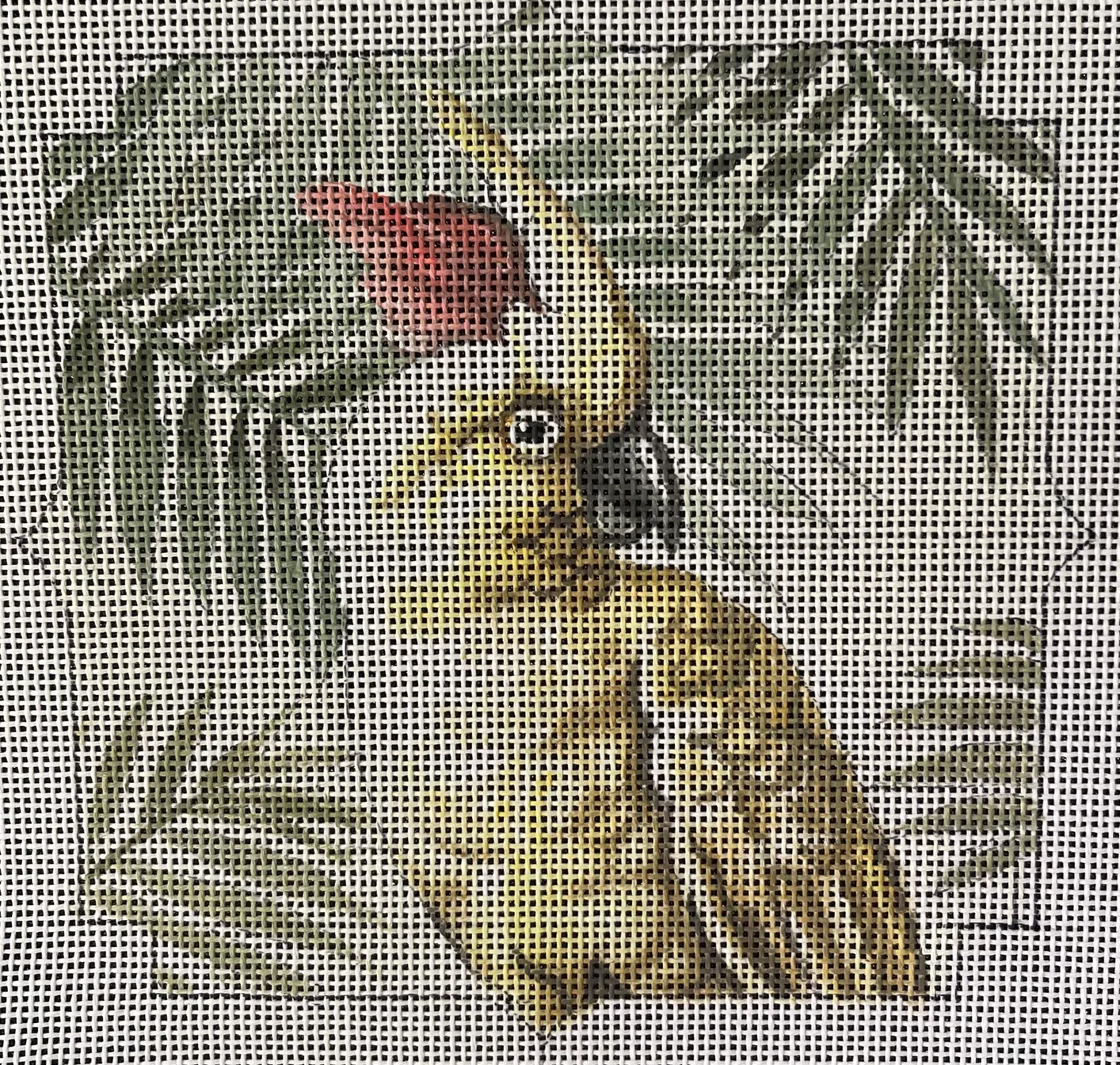 IN709 Cockatoo with Palms