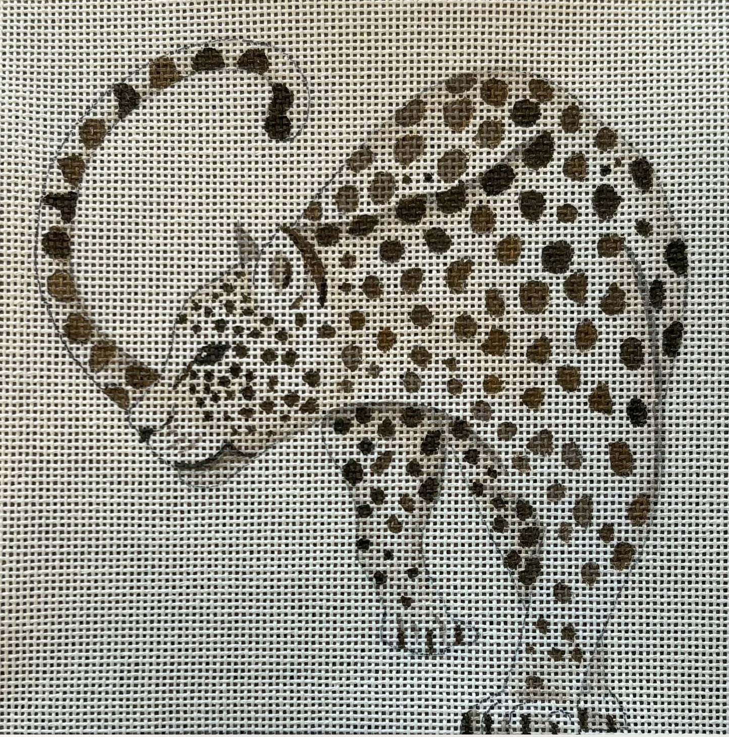 IN718 Looking Leopard