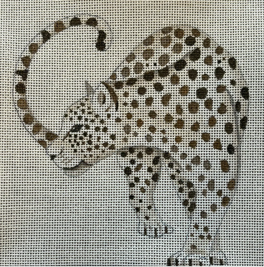 IN718 Looking Leopard