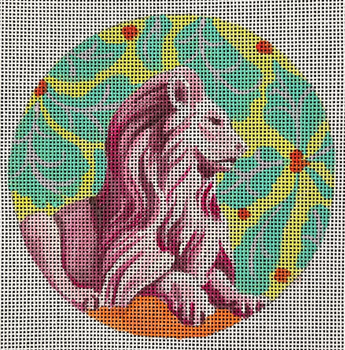 IN806 Pink Lion