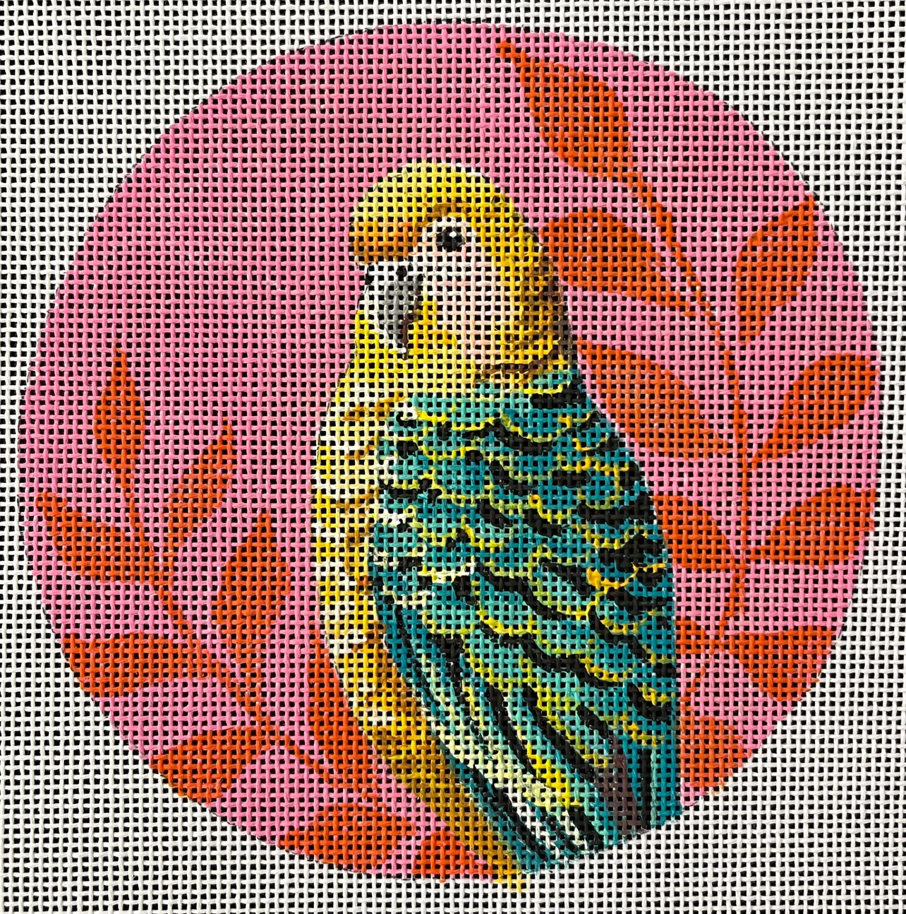 IN809 Parakeet