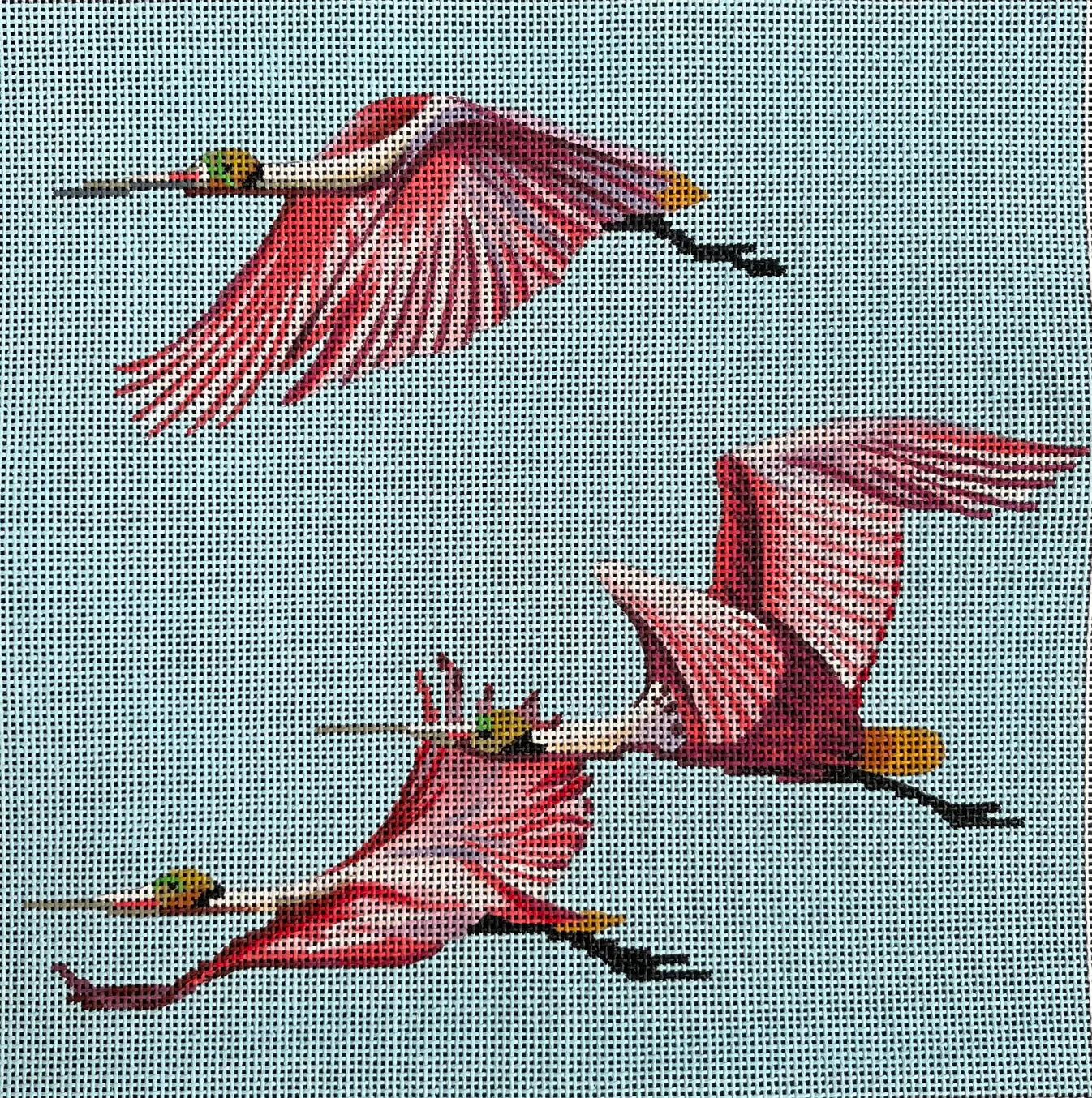 AN466 Spoonbill Formation