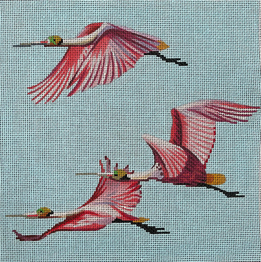 AN466 Spoonbill Formation
