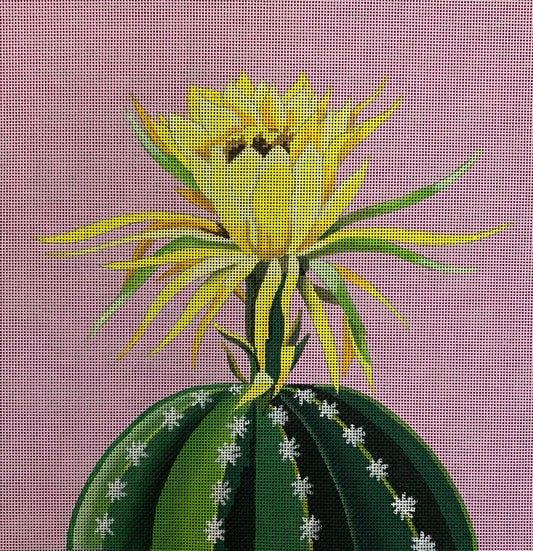 FF328 Blooming Cactus on Pink
