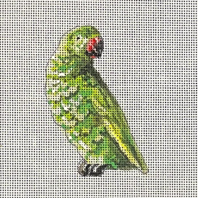 JW500 Parrot Patch
