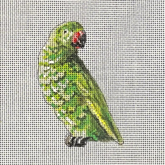 JW500 Parrot Patch