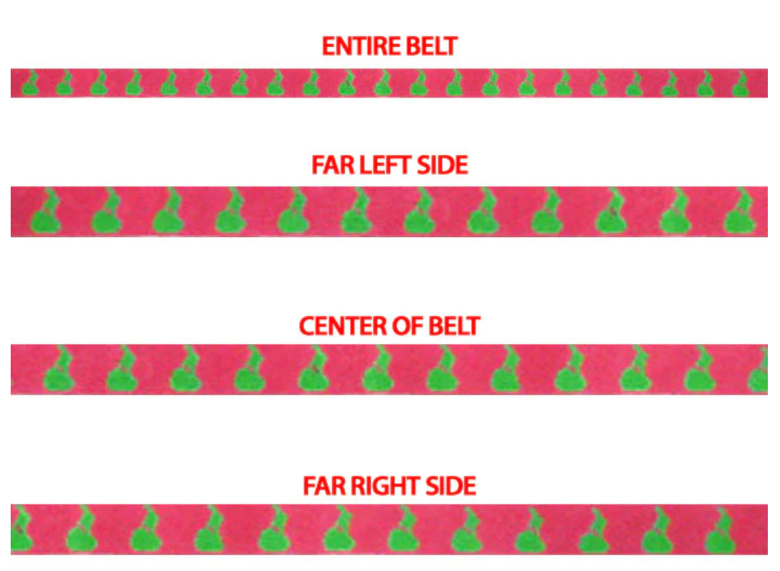 743 Block Island Belt - Pink and Green