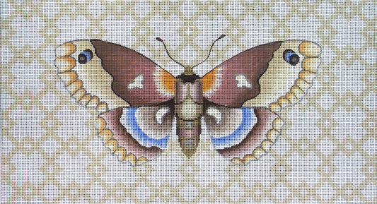 NH-92 Moth with Geo