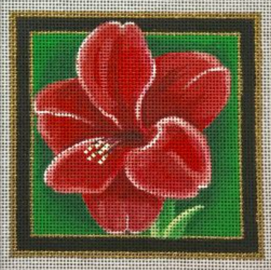 CS09 Amaryllis Christmas Coaster