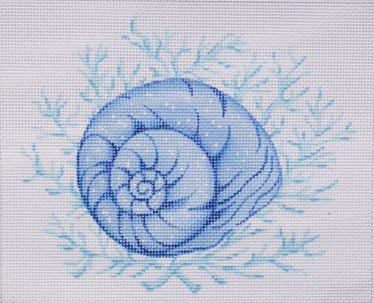 PL-380 Moon Snail Shell with Coral