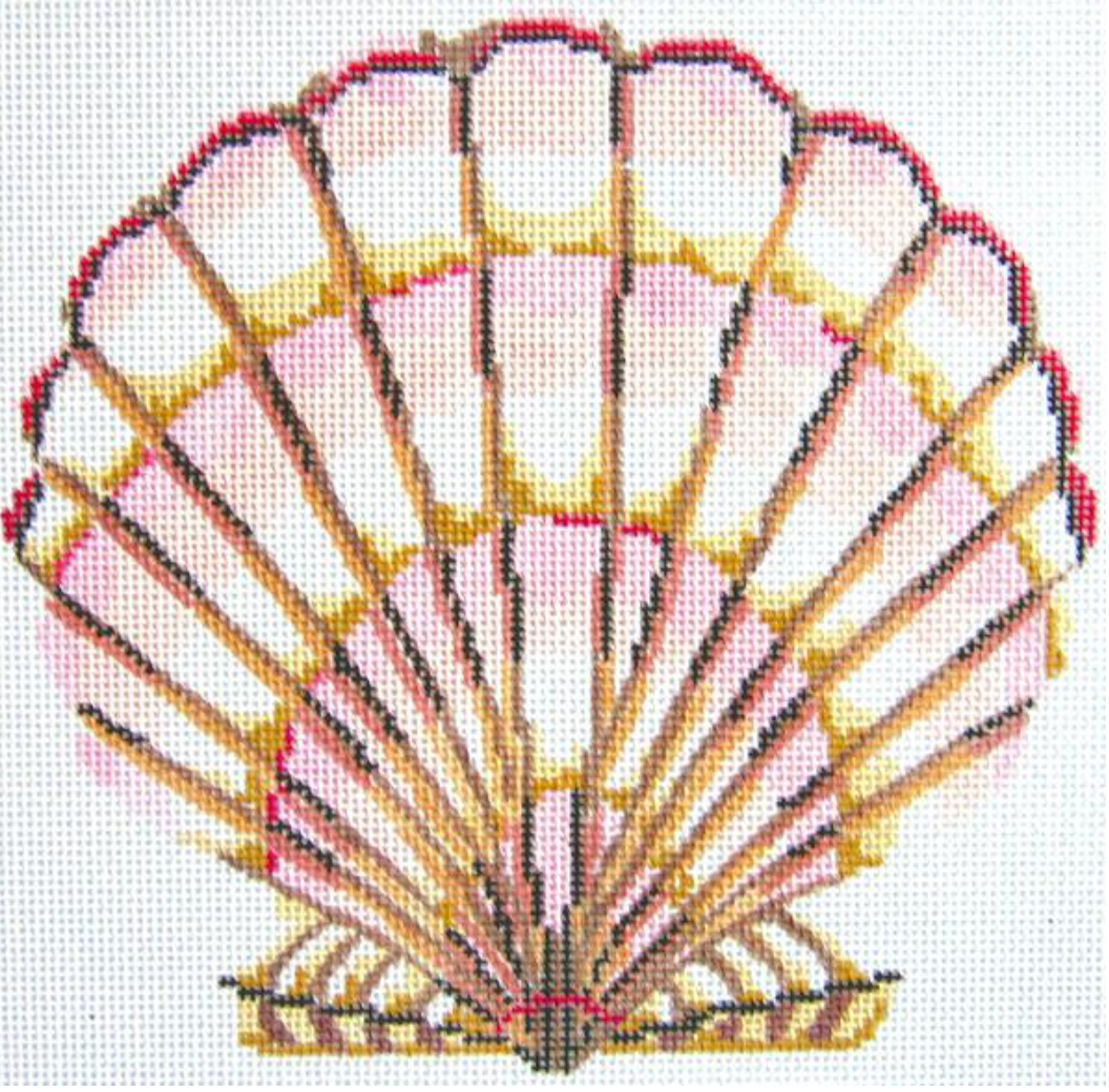 259 Scallop Shell