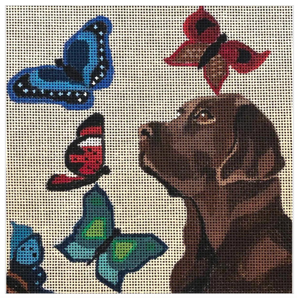 D06 Butterfly Lab