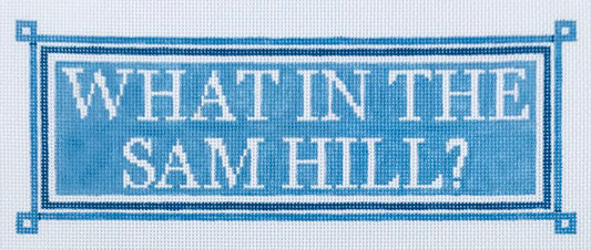DM-3H What the Sam Hill?